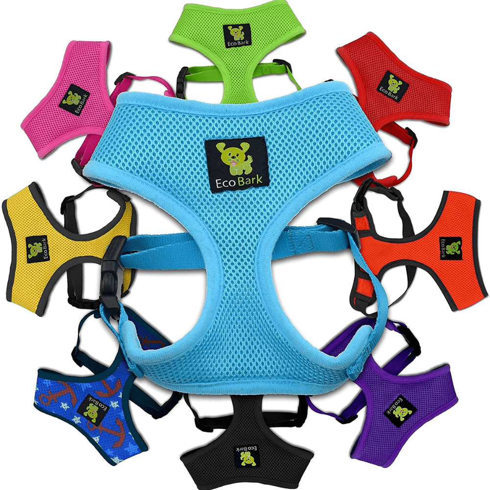 Which is the best dog harness for hiking? We reviewed 3 top models