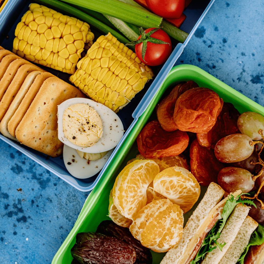 Can You Take Your Own Food To Chester Zoo