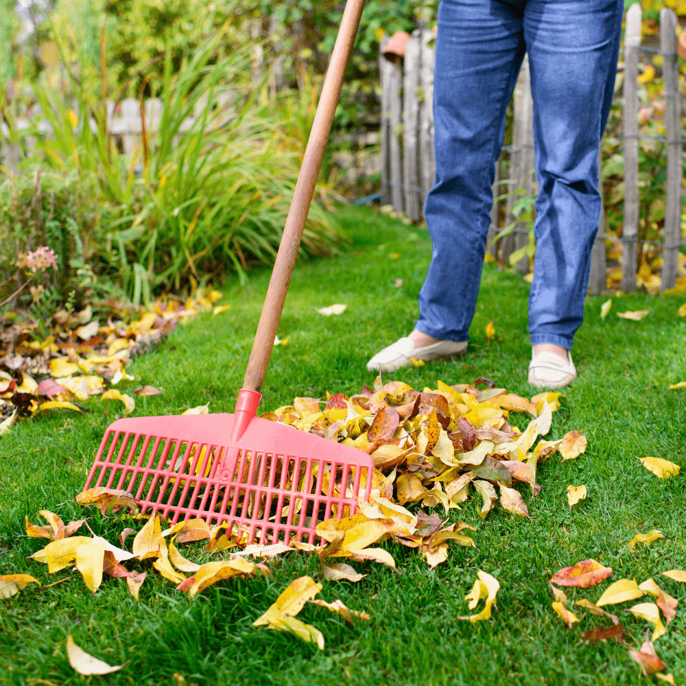 The Best Lawn Sweeper for Sweeping Success - RobbysReviews